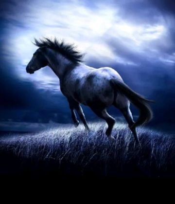 ntm-khu-8-ch-ha-cover-image