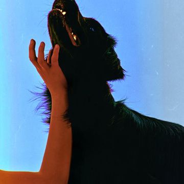 DOG-cover