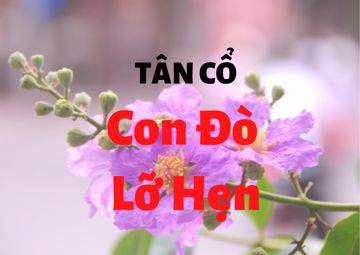 Tân cổ Con Đò Lỡ Hẹn-cover