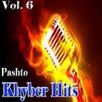 Bibi Shereeni-cover