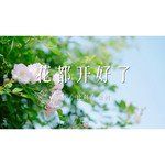 花都开好了-cover
