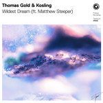 Wildest Dream(Extended Mix)