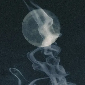 sebi-luna-cover-image