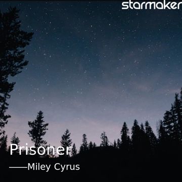 Prisoner-cover