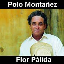 Flor pálida