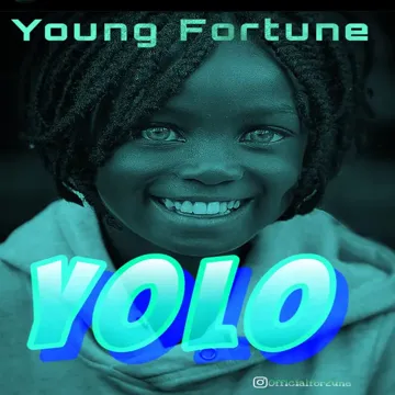 Yolo-cover