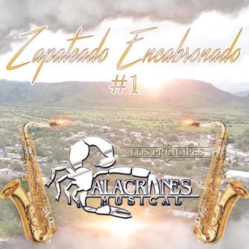 Zapateado Encabronado-cover