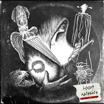 Bioluminescência-cover