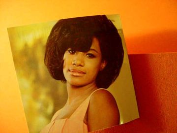 Play It Cool Stay In School