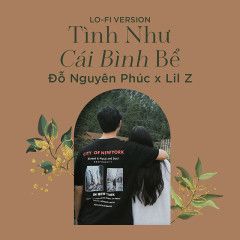 Tình Như Cái Bình Bể (Lofi Version)-cover