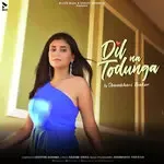 Dil Na Todunga-cover