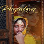 Punjaban-cover