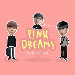 P!nk Dreams-cover