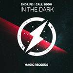 In The Dark-cover