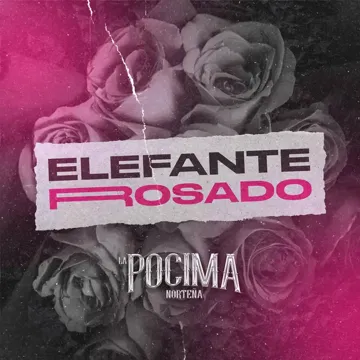 Elefante Rosado-cover