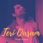 Teri Qasam-cover