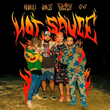 Hot Sauce (feat. Ovi)-cover