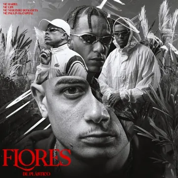 Flores de Plástico-cover