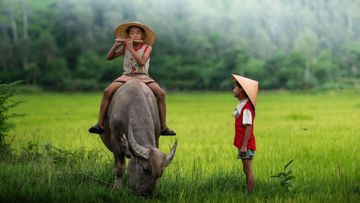 tìm về _nghe-cover