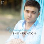 Yoningdaman-cover