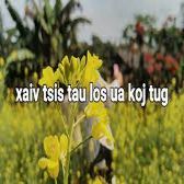 xaiv tsis tau los ua koj tug