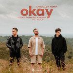 Okay(Afrojack Remix)-cover