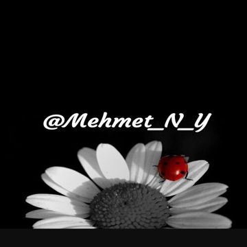 Megrî dilêm