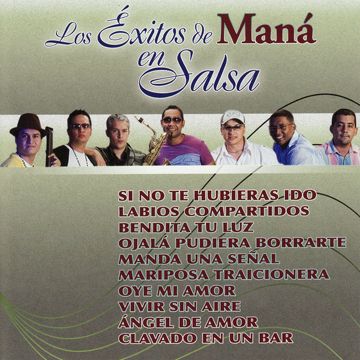 Si no te hubieras ido-cover