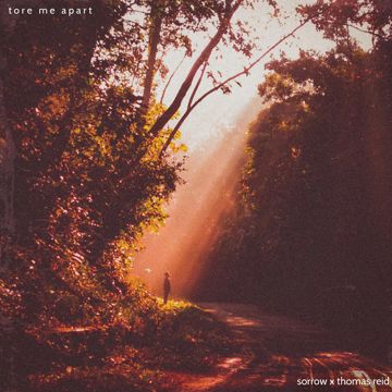 tore me apart-cover