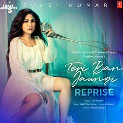 Teri Ban jaungi-cover