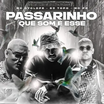 Passarinho Que Som É Esse-cover