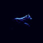 The Chase (Edit)-cover