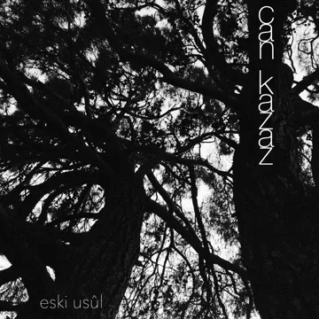 Kalbin Yok Mu-cover