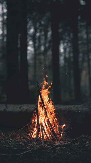 coveImg