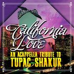 california-love-california-love-cover-image