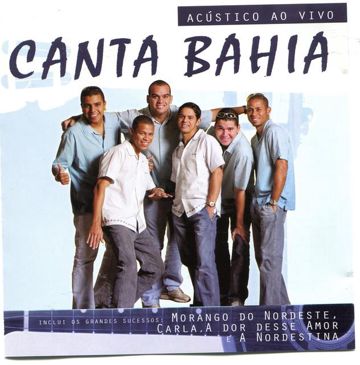 Você Não Me Ensinou a Te Esquecer-cover