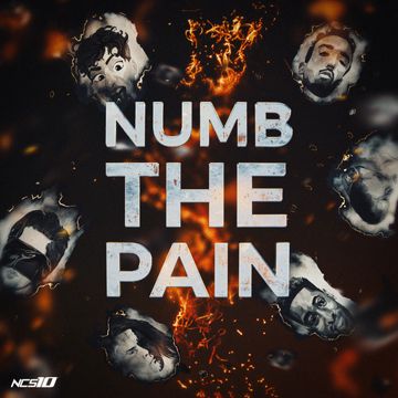 Numb The Pain-cover