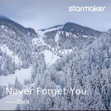 Never Forget You-cover