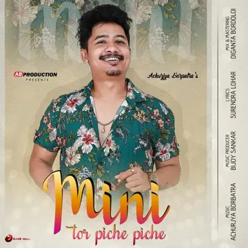 Mini Tor Piche Piche-cover