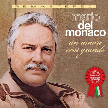 Un amore così grande-cover