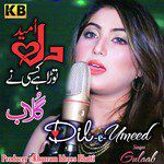 Dil-e-Umeed