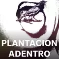 Plantacion Adentro-cover