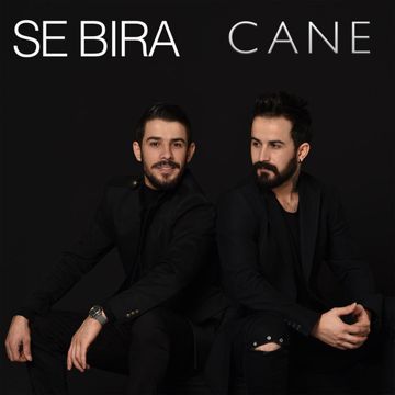 Cane-cover