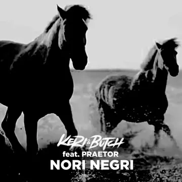 Nori Negri-cover
