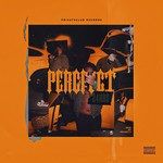 PERCFECT-cover