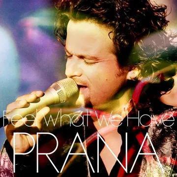 Feel What We Have-cover