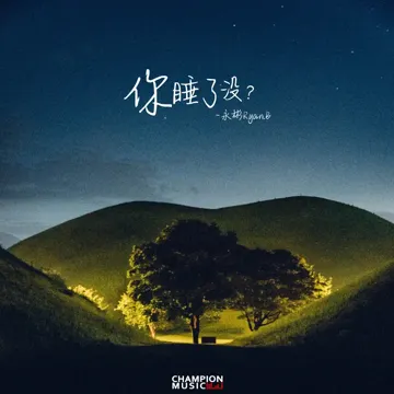 你睡了没-cover