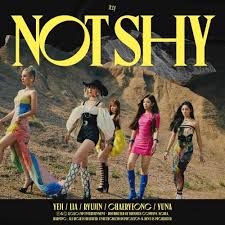NOT SHY-cover
