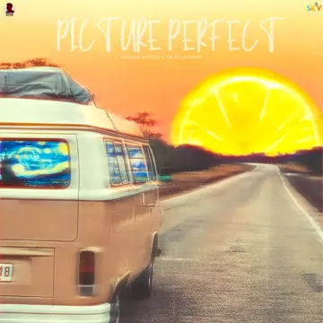 Picture Perfect-cover