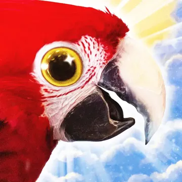 Coco-cover